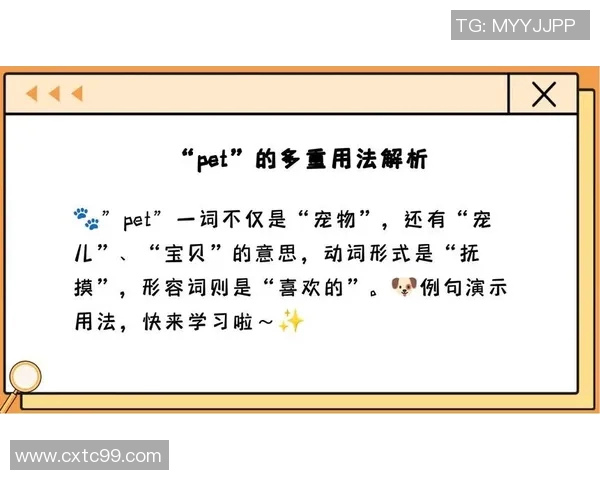 篮球明星的英文翻译及其在国际舞台上的影响力分析